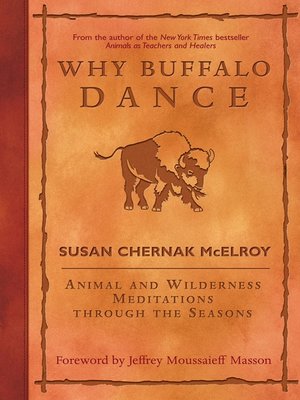 cover image of Why Buffalo Dance